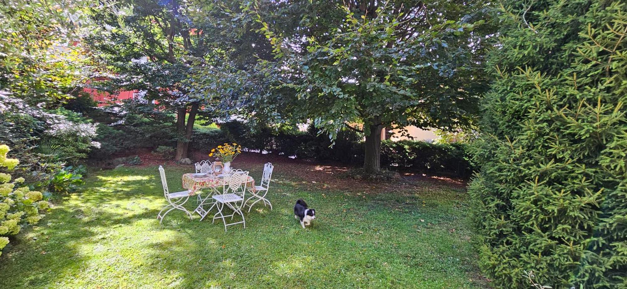 Appartamento Con Ingresso Autonomo, Giardino Privato E Portico Introbio Εξωτερικό φωτογραφία